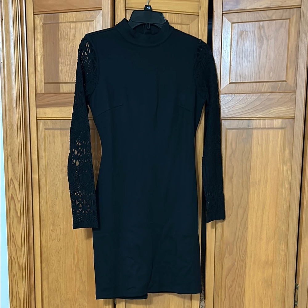 Black Lace Sleeve Dress